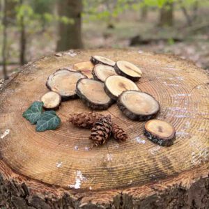 kleine-holzscheiben-rinde