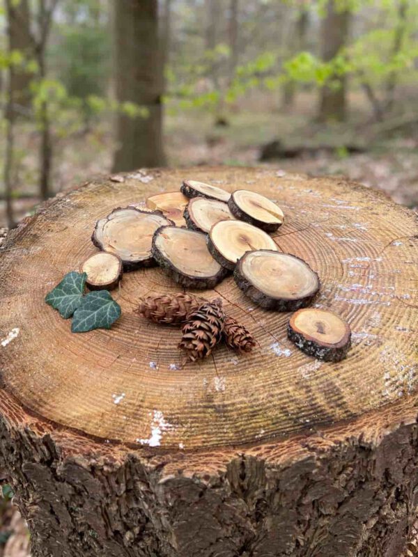 kleine-holzscheiben-rinde